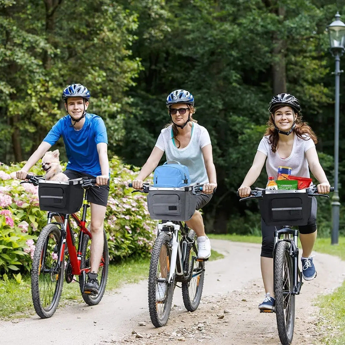 Tres ciclistas en el parque con la canasta montada en sus bicicletas