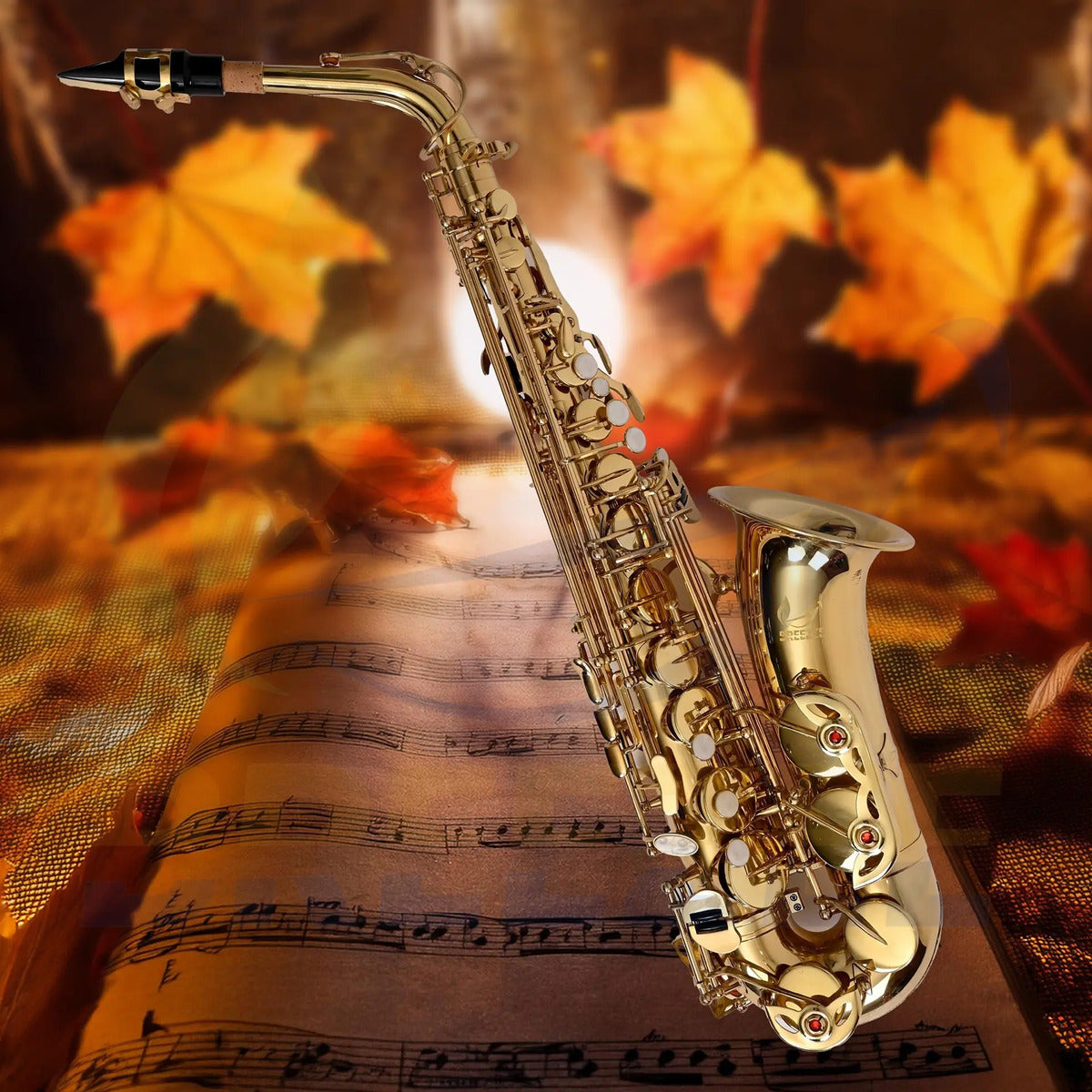 BREEZEE SAXOFONSET