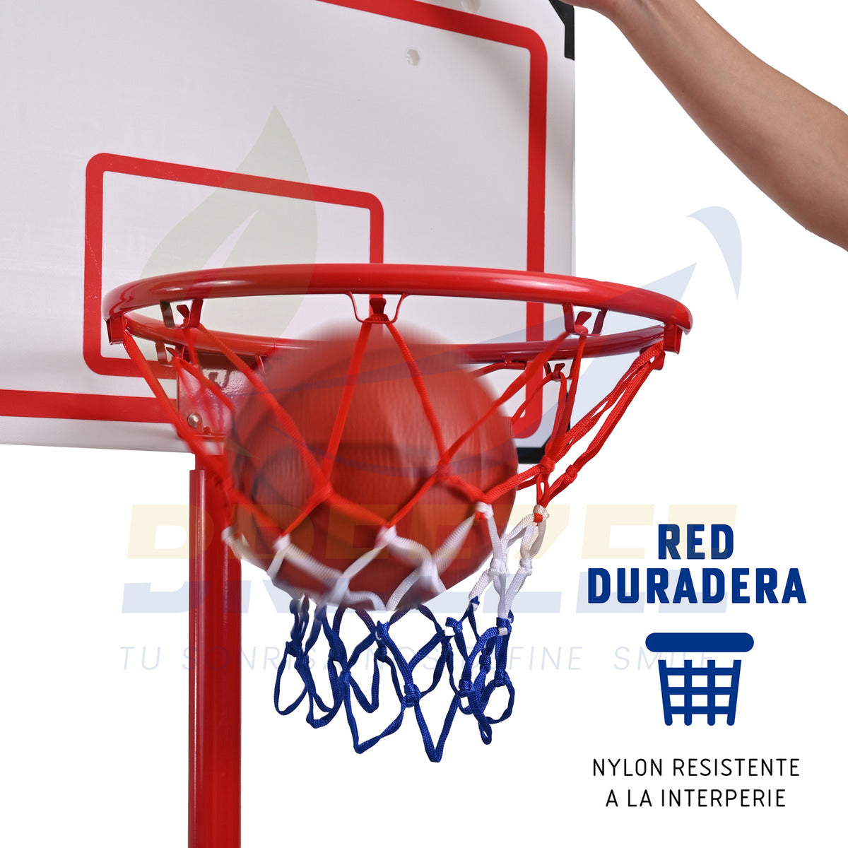BREEZEE CANASTABASKETXLADULT