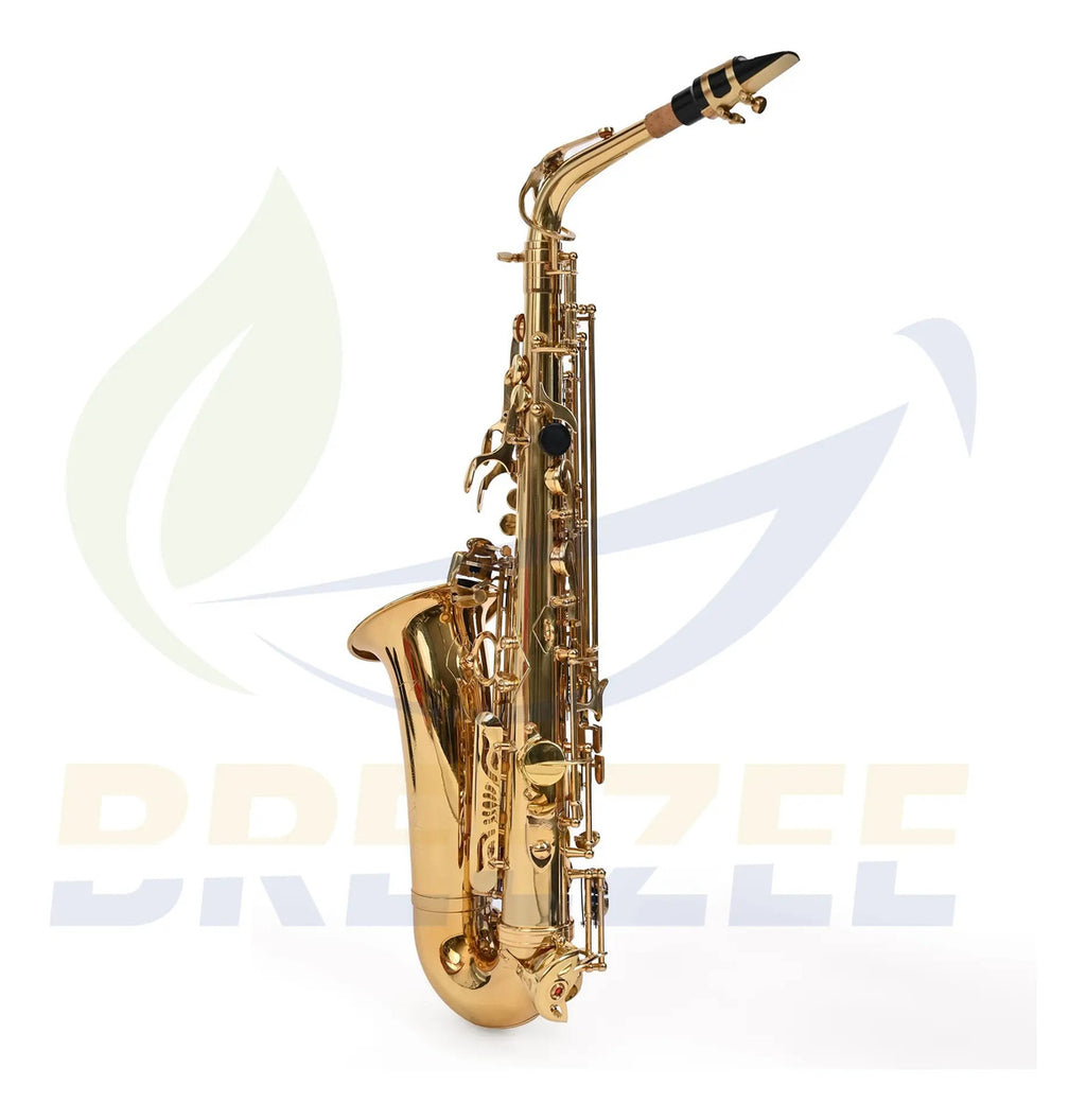 BREEZEE SAXOFONSET