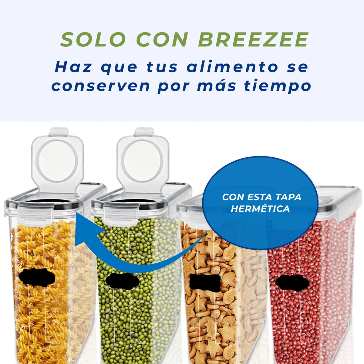 BREEZEE RECIPIENTESFLIPFLOP8