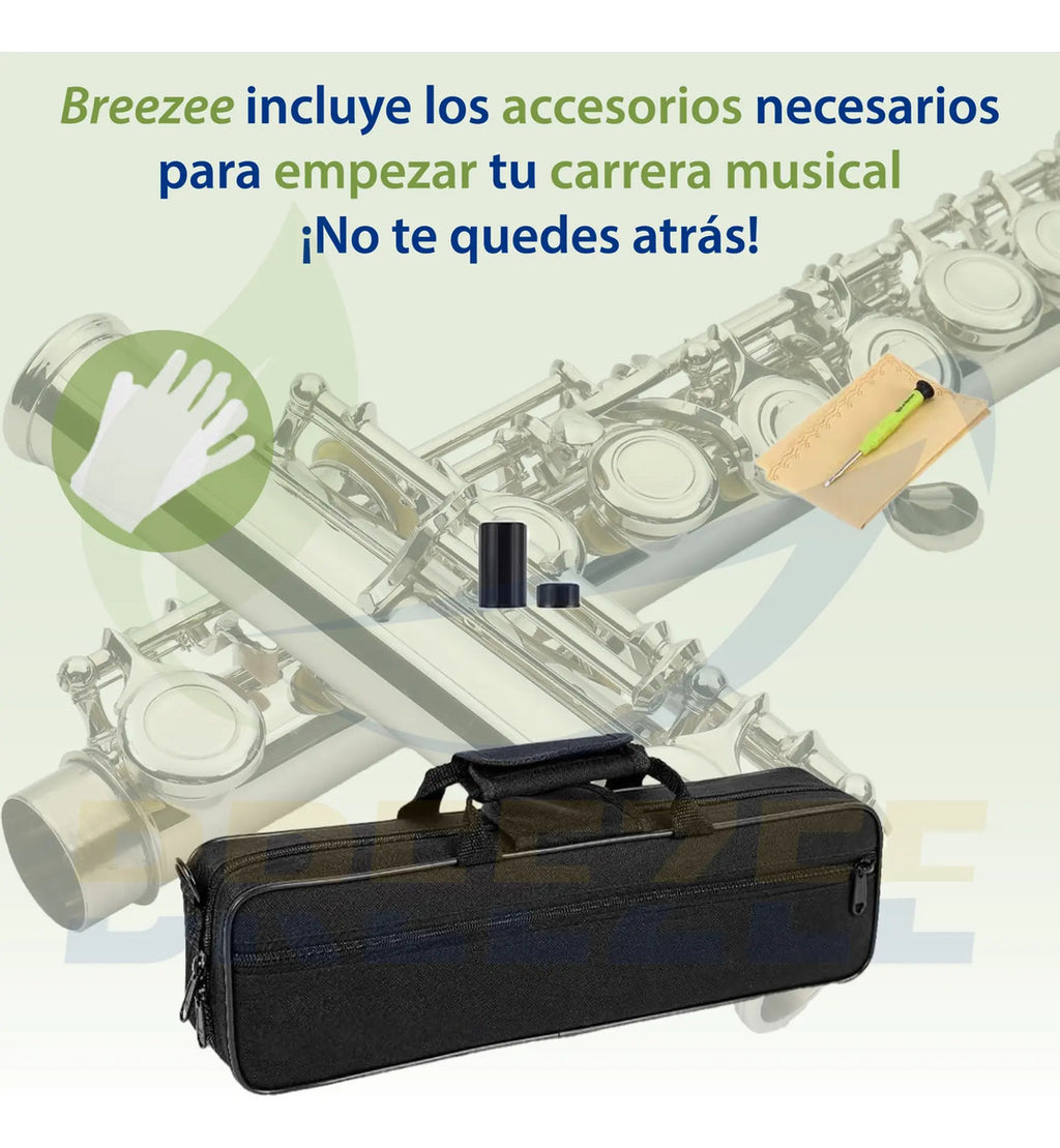 BREEZEE FLAUTACONCIERT