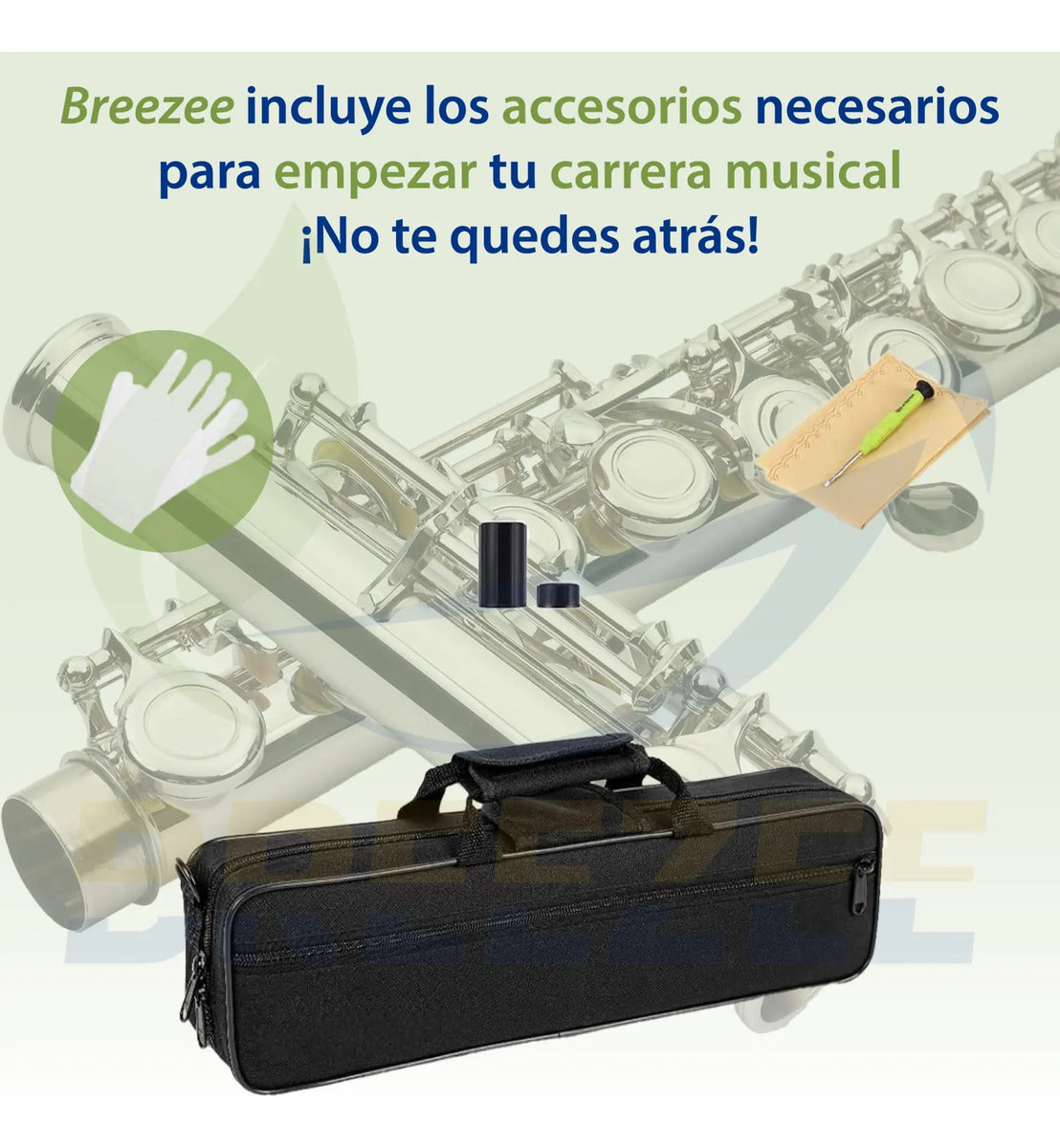 BREEZEE FLAUTACONCIERT