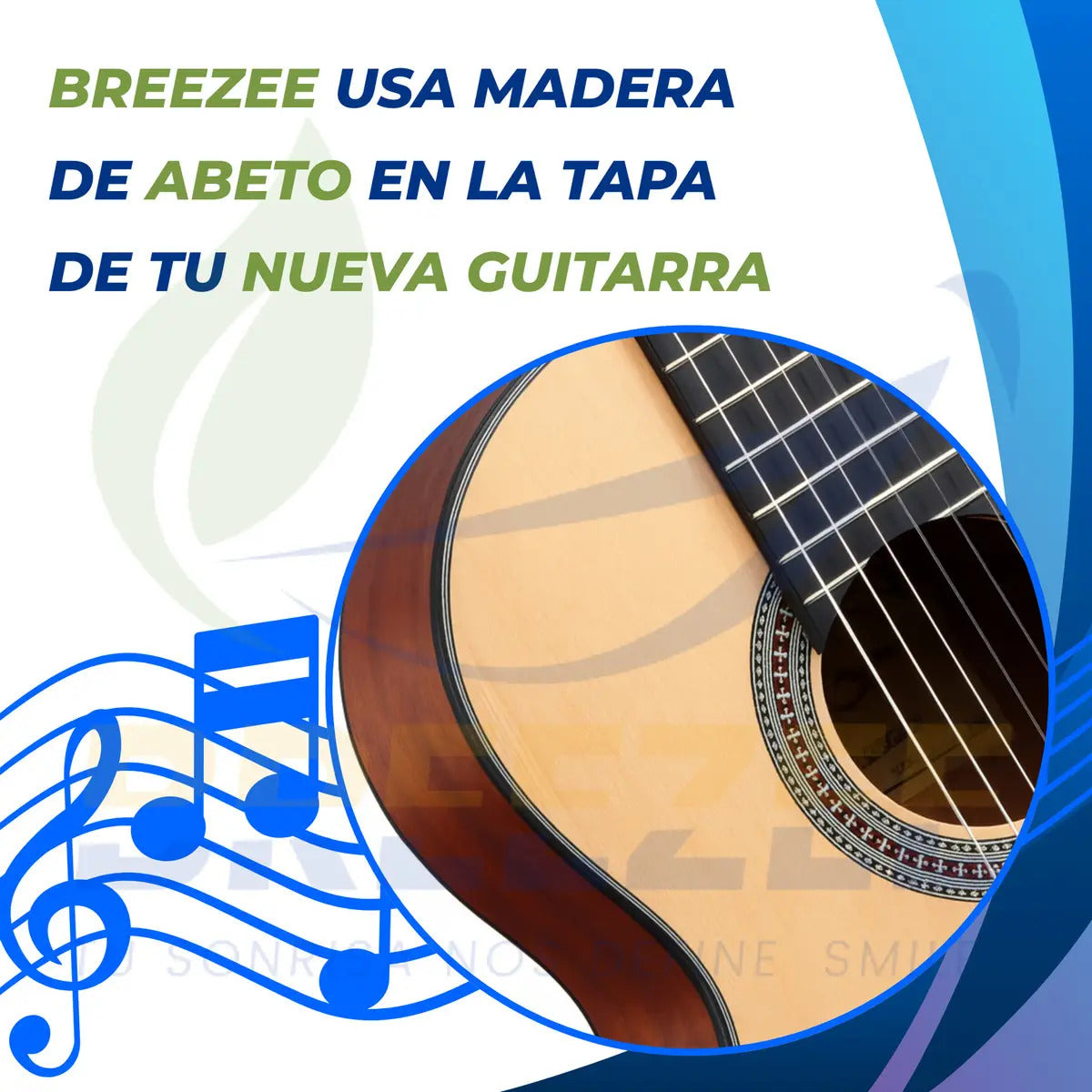 BREEZEE GUITARCLASICELECT39-NEGRO