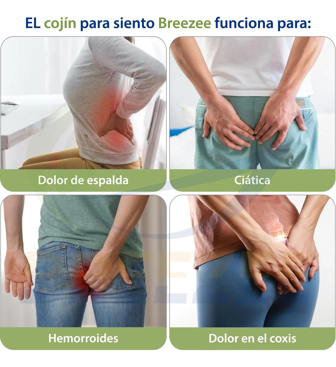 BREEZEE COJINASIENTO