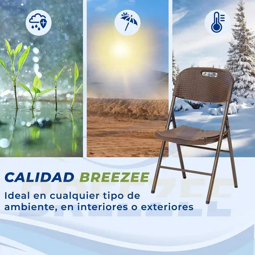 BREEZEE SILLARATTAN2-CAFE
