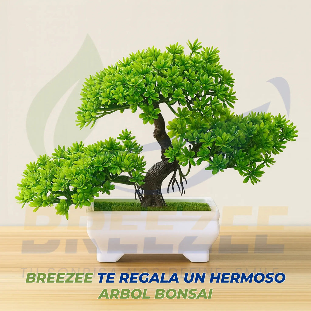 BREEZEE CARRITOROTABLE-NEGRO