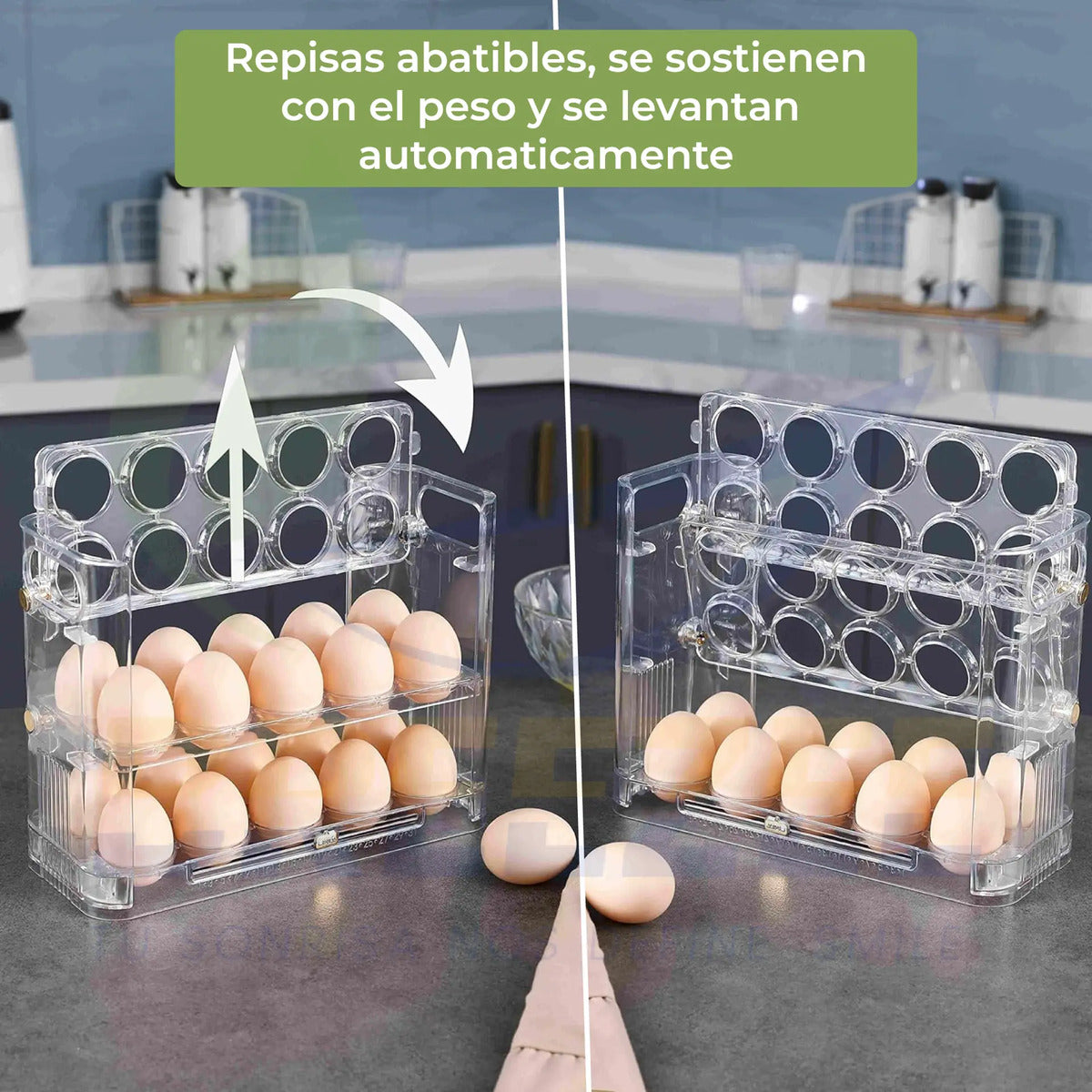 BREEZEE ORGANIHUEVOS