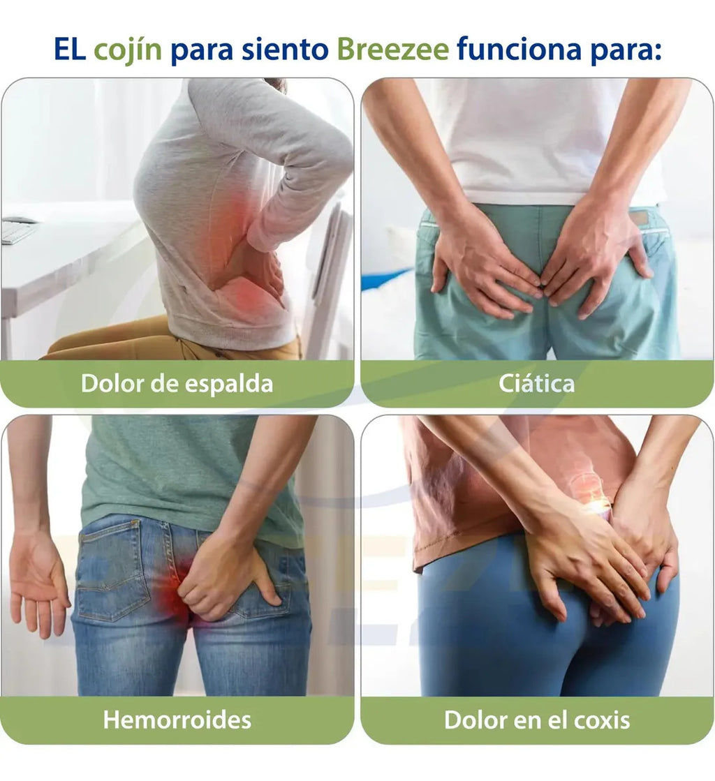 BREEZEE COJINASIENTO