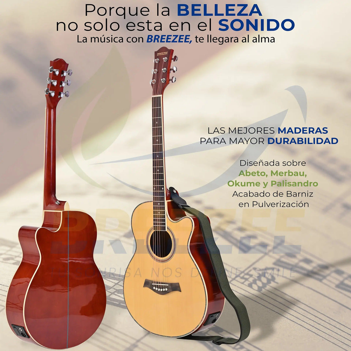 BREEZEE GUITARELECACUS40-NEGRO