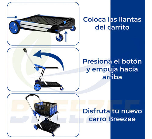 BREEZEE CARROCPLEG
