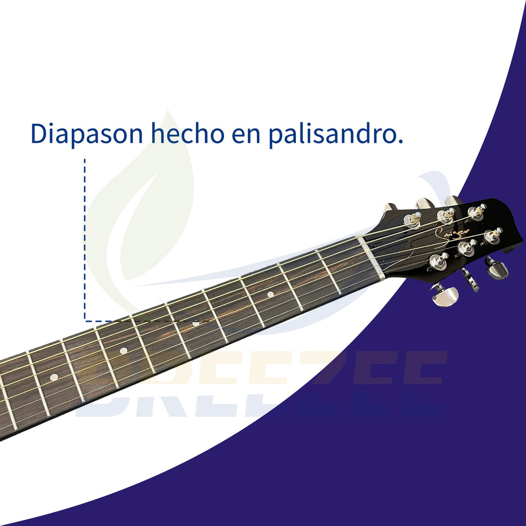 BREEZEE GUITARELECTACUSABS41-MORADO