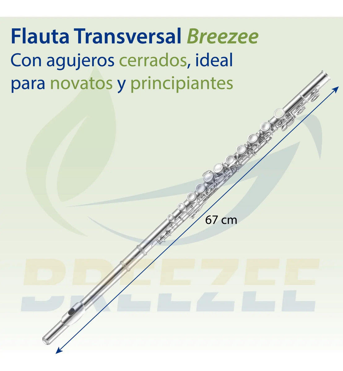 BREEZEE FLAUTACONCIERT