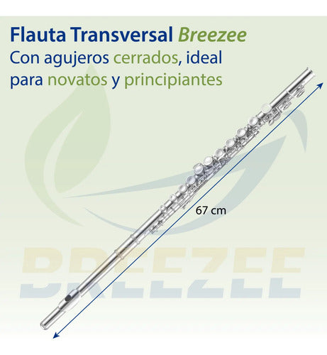 BREEZEE FLAUTACONCIERT