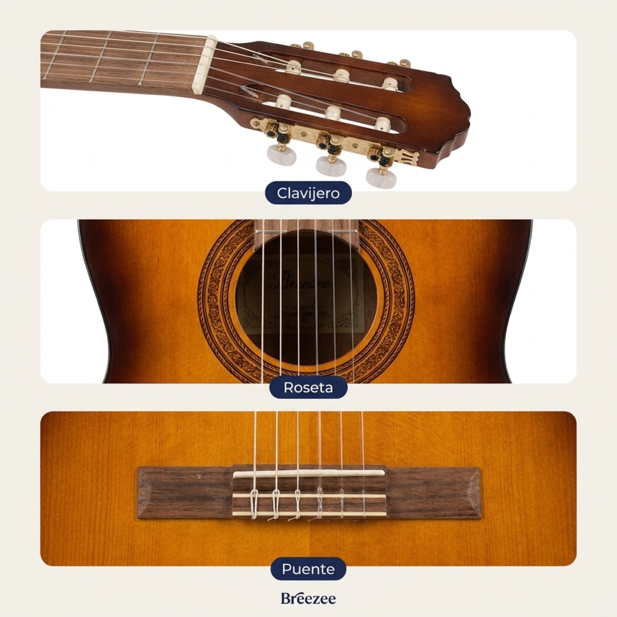 Detalles clavijero roseta y puente de la guitarra clasica